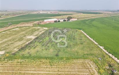 İzmir Çiğli Kaklıç'ta -10.200 m2 - Kiralık Tarla