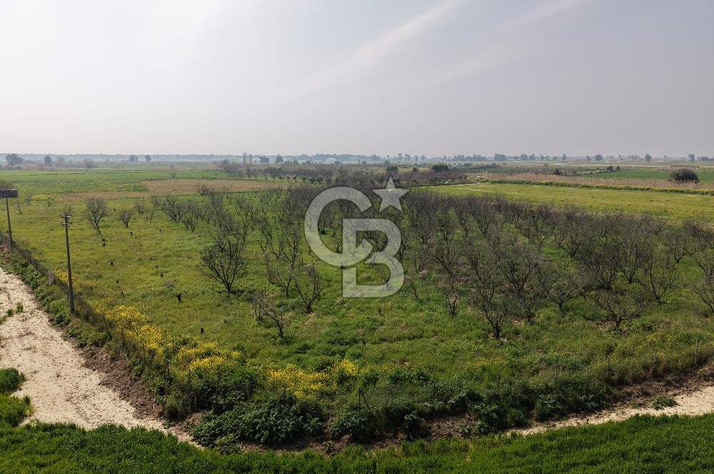 İzmir Çiğli Kaklıç'ta -10.200 m2 - Satılık Tarla