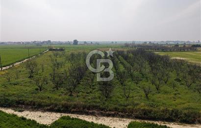 İzmir Çiğli Kaklıç'ta -10.200 m2 - Satılık Tarla