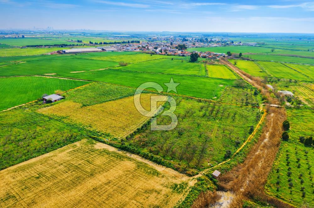 İzmir Çiğli Kaklıç'ta -24.400 m2 - Satılık Tarla