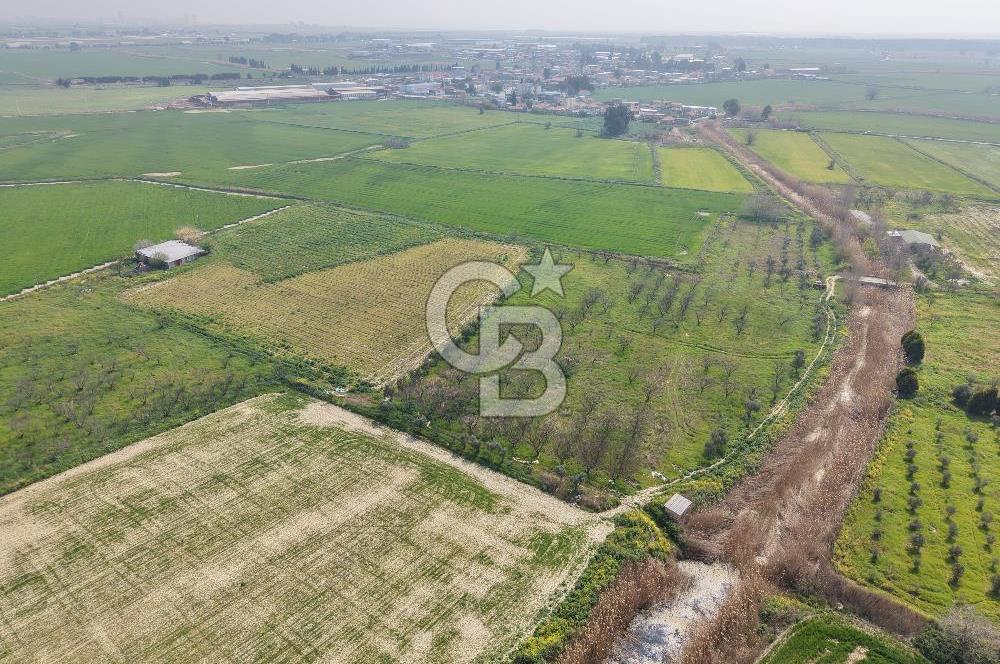 İzmir Çiğli Kaklıç'ta -24.400 m2 - Kiralık Tarla