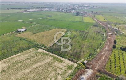 İzmir Çiğli Kaklıç'ta -24.400 m2 - Kiralık Tarla