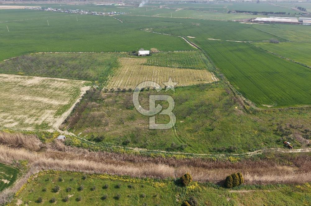 İzmir Çiğli Kaklıç'ta -24.400 m2 - Kiralık Tarla