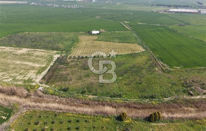 İzmir Çiğli Kaklıç'ta -24.400 m2 - Kiralık Tarla