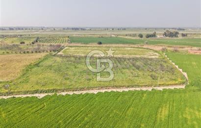İzmir Çiğli Kaklıç'ta -10.200 m2 - Satılık Tarla