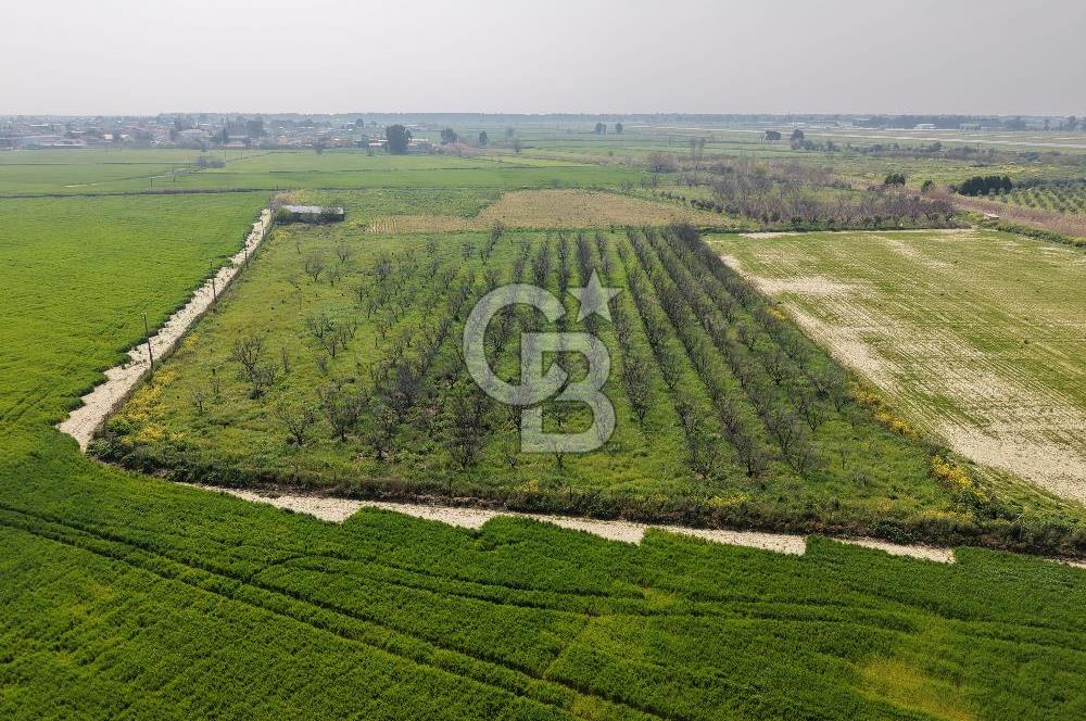 İzmir Çiğli Kaklıç'ta -10.200 m2 - Satılık Tarla