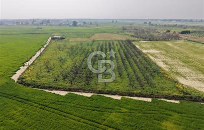 İzmir Çiğli Kaklıç'ta -10.200 m2 - Satılık Tarla