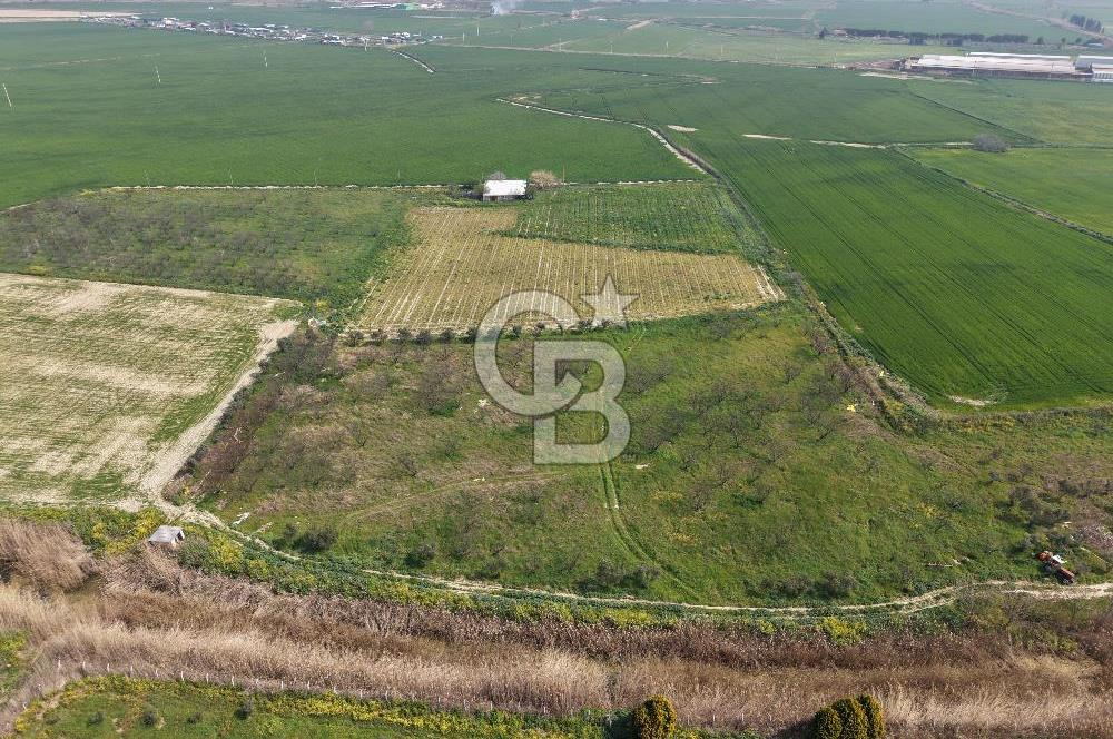 İzmir Çiğli Kaklıç'ta -24.400 m2 - Satılık Tarla