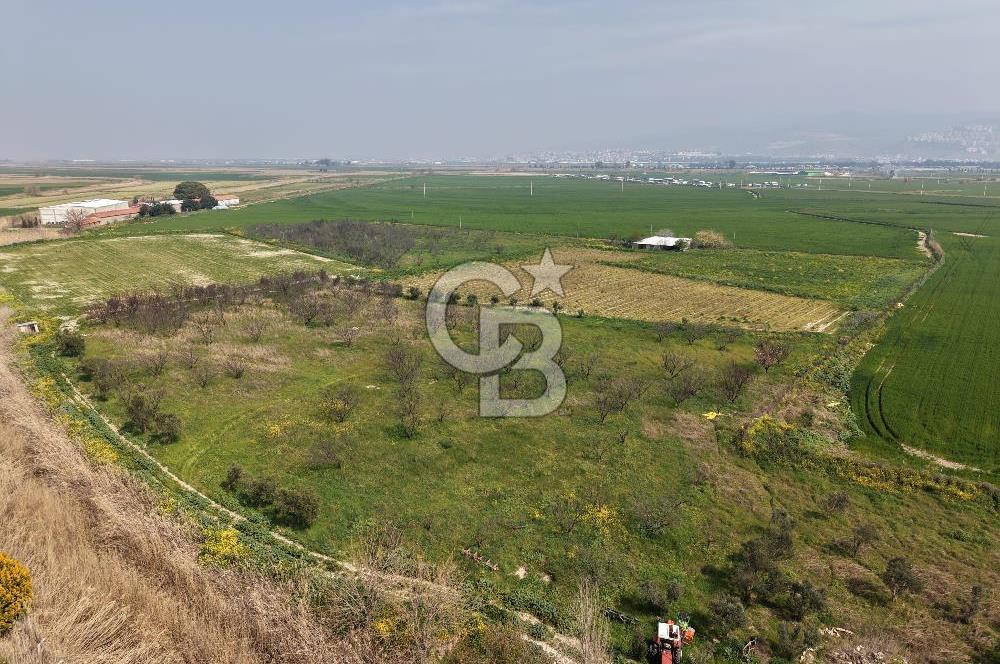 İzmir Çiğli Kaklıç'ta -24.400 m2 - Kiralık Tarla