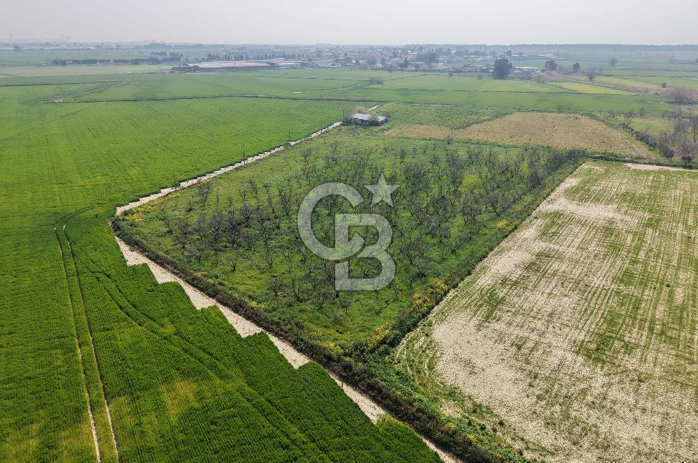 İzmir Çiğli Kaklıç'ta -10.200 m2 - Satılık Tarla