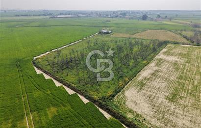 İzmir Çiğli Kaklıç'ta -10.200 m2 - Satılık Tarla