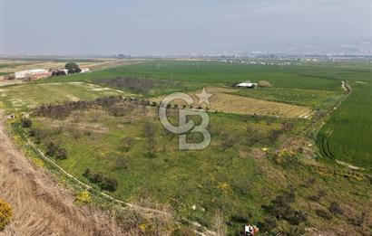 İzmir Çiğli Kaklıç'ta -24.400 m2 - Satılık Tarla