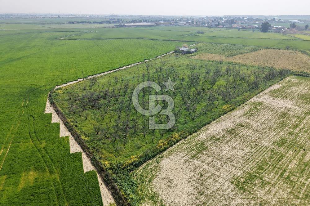 İzmir Çiğli Kaklıç'ta -10.200 m2 - Satılık Tarla