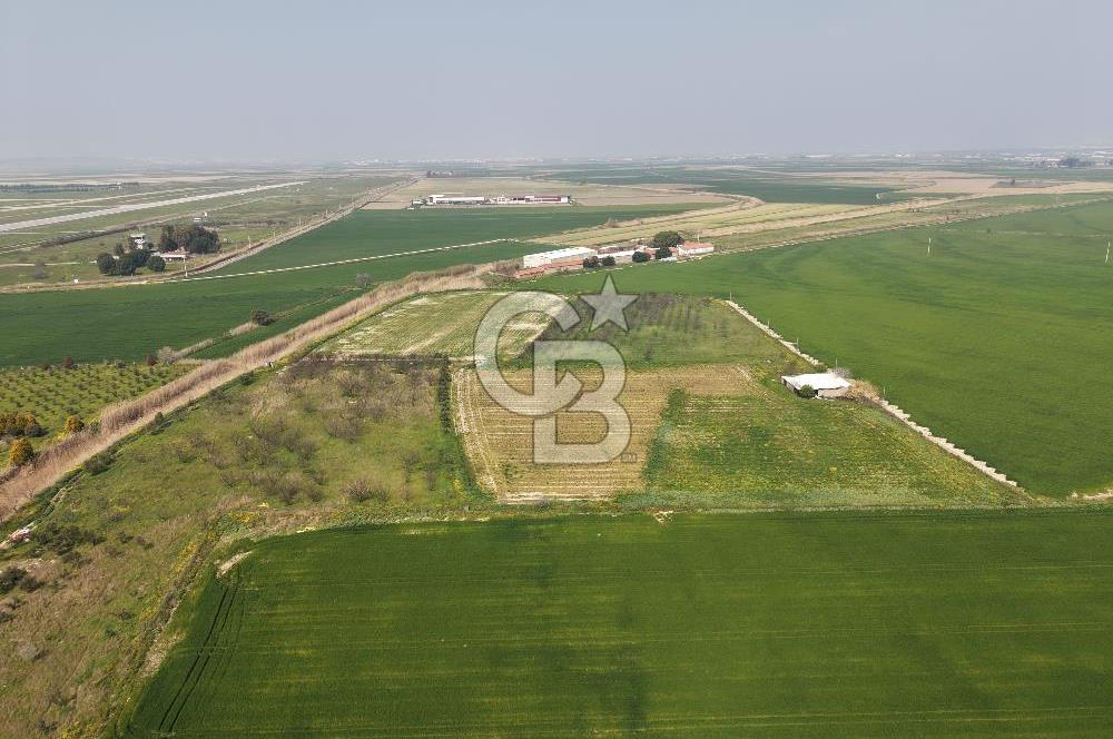 İzmir Çiğli Kaklıç'ta -24.400 m2 - Kiralık Tarla