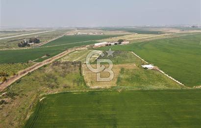 İzmir Çiğli Kaklıç'ta -24.400 m2 - Kiralık Tarla