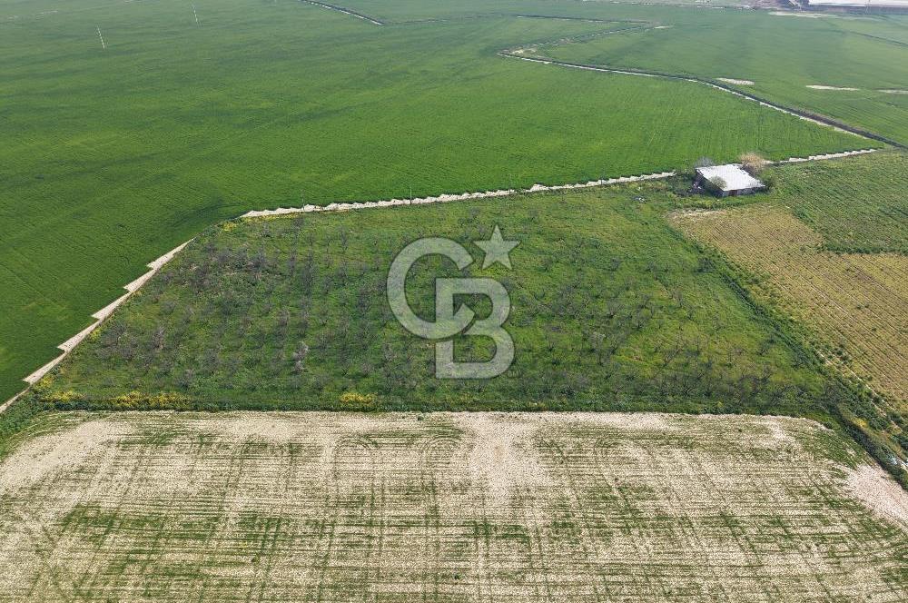 İzmir Çiğli Kaklıç'ta -10.200 m2 - Kiralık Tarla