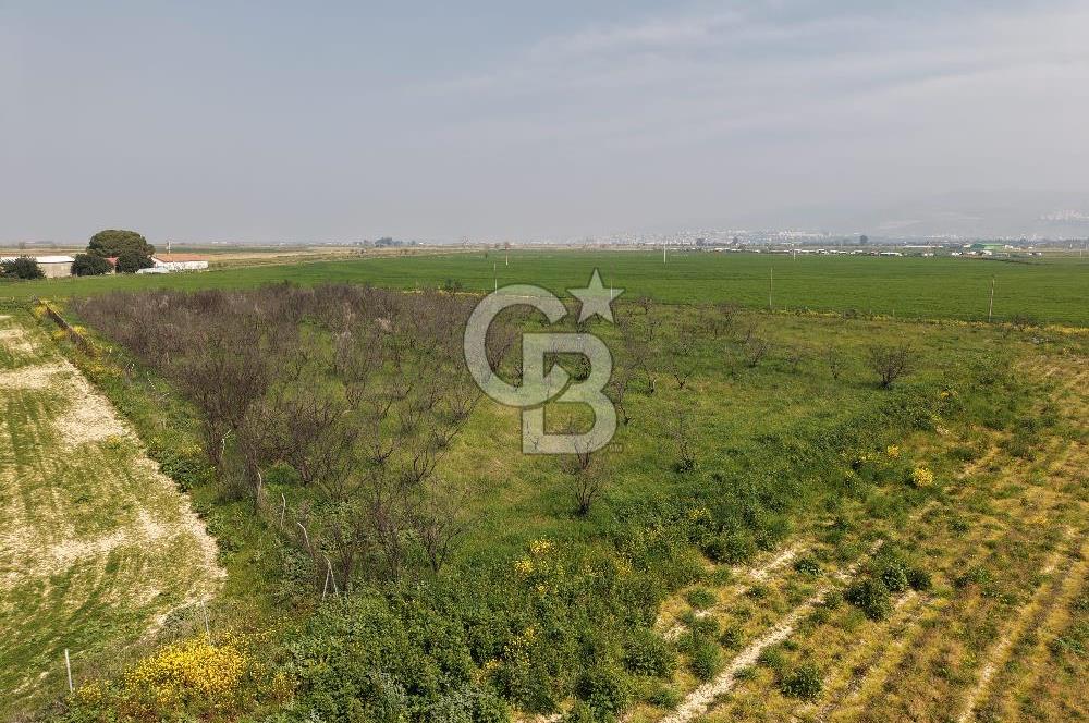 İzmir Çiğli Kaklıç'ta -10.200 m2 - Kiralık Tarla