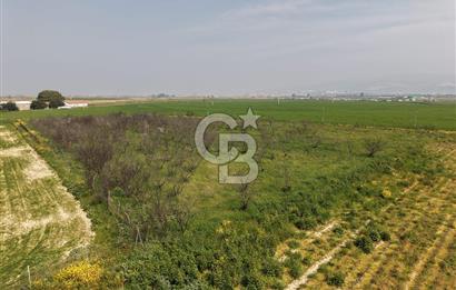 İzmir Çiğli Kaklıç'ta -10.200 m2 - Satılık Tarla