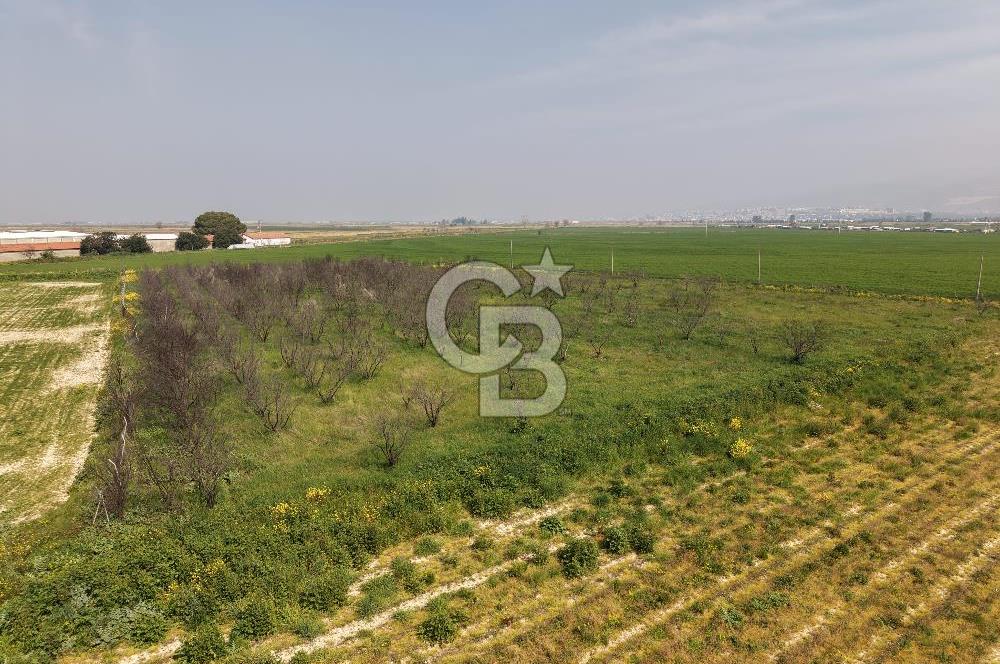 İzmir Çiğli Kaklıç'ta -10.200 m2 - Satılık Tarla