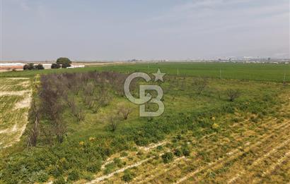 İzmir Çiğli Kaklıç'ta -10.200 m2 - Kiralık Tarla