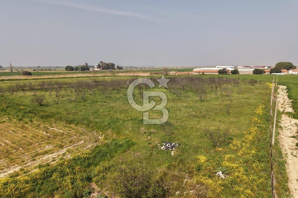 İzmir Çiğli Kaklıç'ta -10.200 m2 - Satılık Tarla