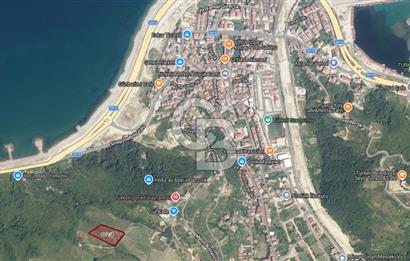 SİNOP TÜRKELİ'DE DENİZ MANZARALI TEK TAPU İMARLI ARSA