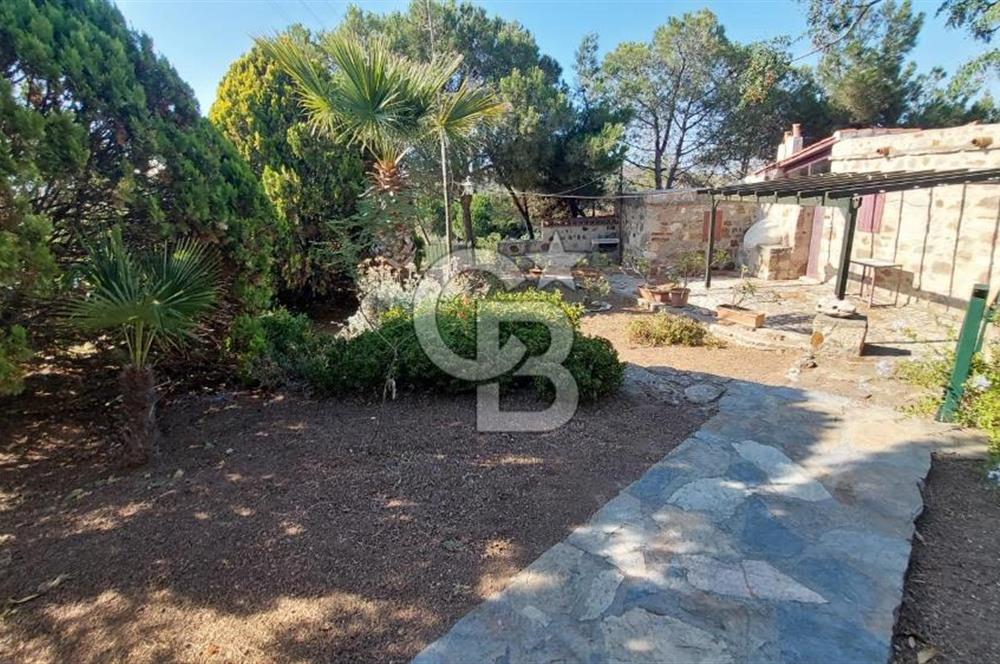 ÇANAKKALE BOZCAADA POYRAZ LİMANI DENİZE 50 mt SATILIK BAĞ EVİ