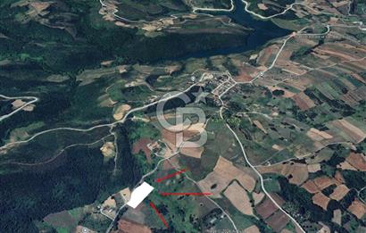 Kocaeli Karamürsel'de 7.448 m² Müstakil Tapulu Tarla