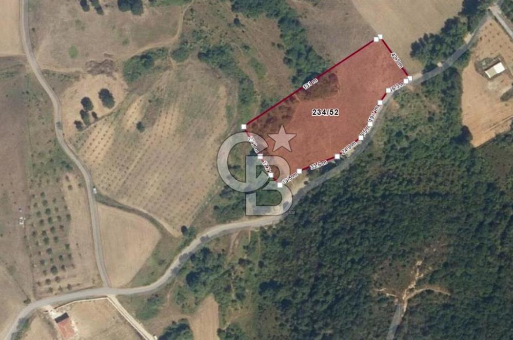 Kocaeli Karamürsel'de 7.448 m² Müstakil Tapulu Tarla