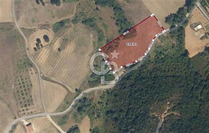 Kocaeli Karamürsel'de 7.448 m² Müstakil Tapulu Tarla