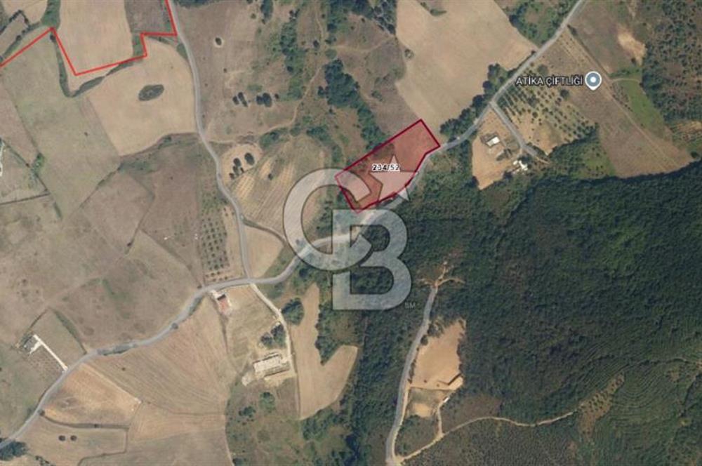 Kocaeli Karamürsel'de 7.448 m² Müstakil Tapulu Tarla