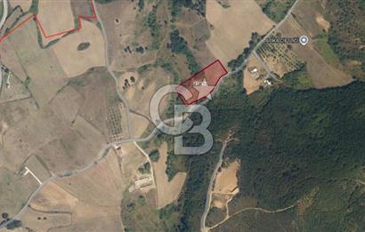 Kocaeli Karamürsel'de 7.448 m² Müstakil Tapulu Tarla