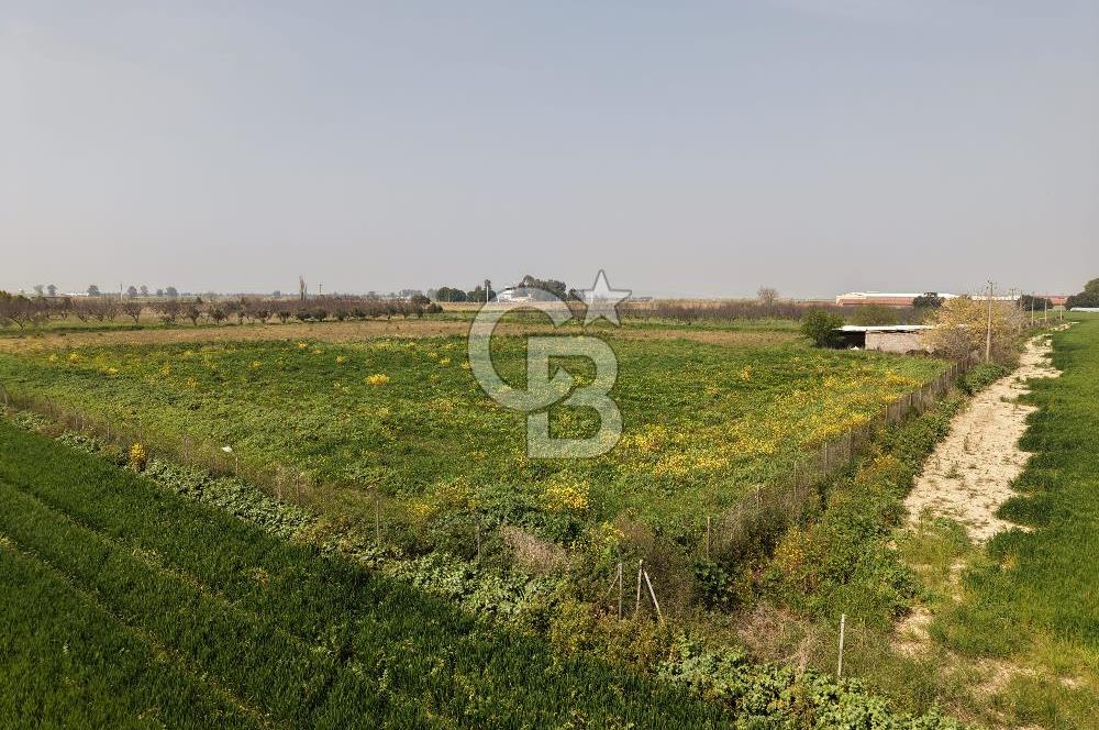 İzmir Çiğli Kaklıç'ta -24.400 m2 - Satılık Tarla