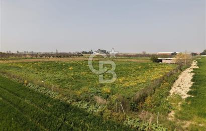 İzmir Çiğli Kaklıç'ta -24.400 m2 - Kiralık Tarla