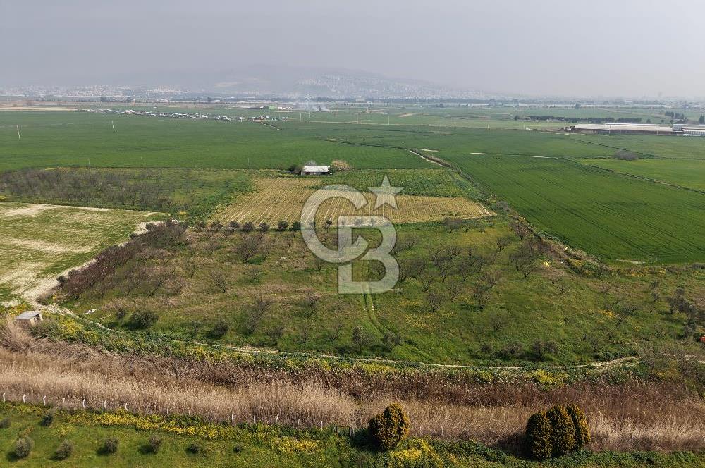 İzmir Çiğli Kaklıç'ta -24.400 m2 - Kiralık Tarla