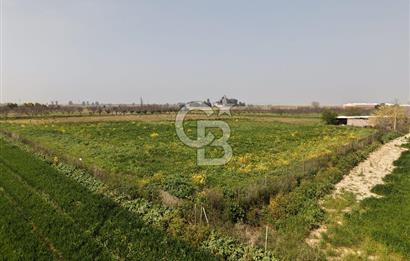 İzmir Çiğli Kaklıç'ta -24.400 m2 - Satılık Tarla