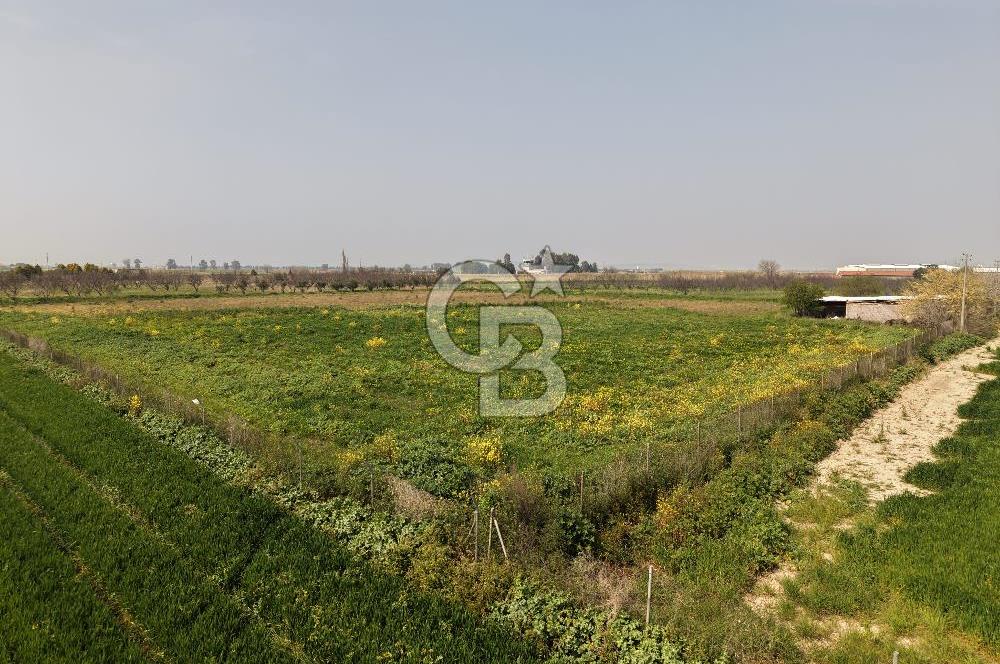 İzmir Çiğli Kaklıç'ta -24.400 m2 - Kiralık Tarla