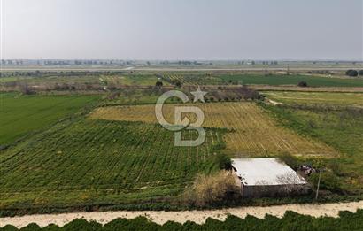 İzmir Çiğli Kaklıç'ta -24.400 m2 - Satılık Tarla