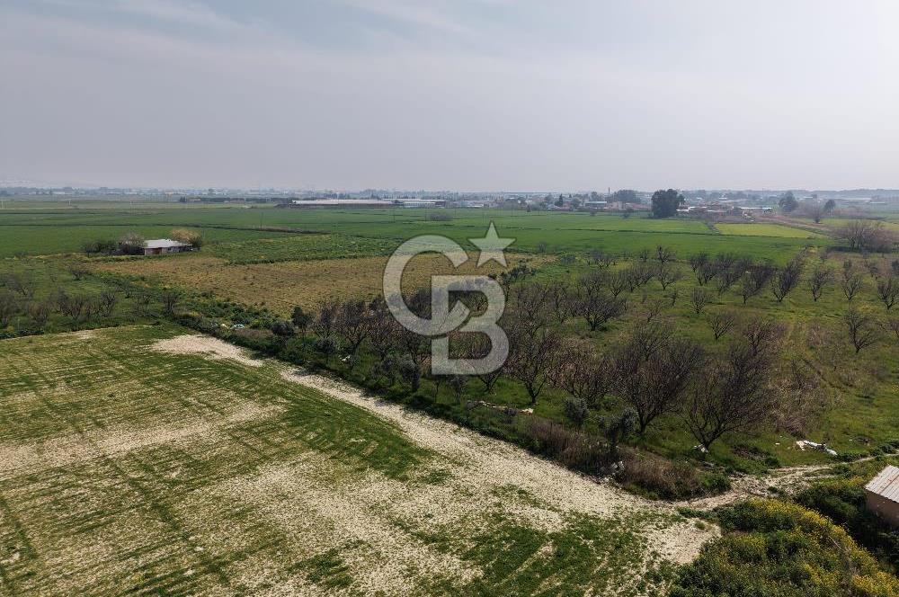 İzmir Çiğli Kaklıç'ta -24.400 m2 - Satılık Tarla