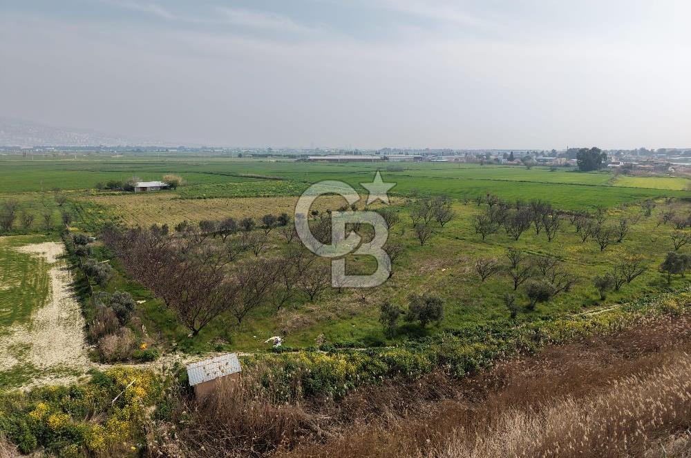 İzmir Çiğli Kaklıç'ta -24.400 m2 - Kiralık Tarla