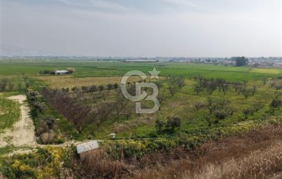 İzmir Çiğli Kaklıç'ta -24.400 m2 - Kiralık Tarla
