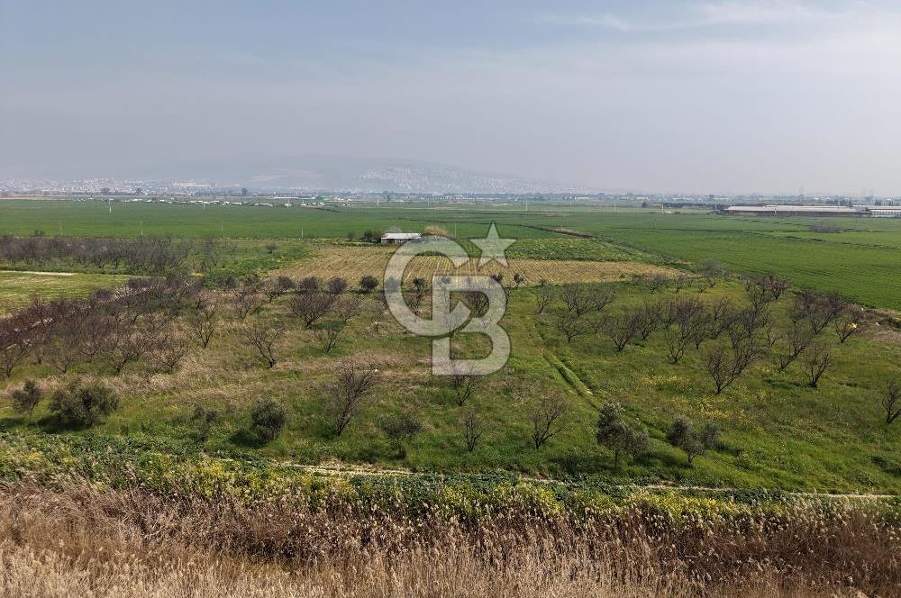 İzmir Çiğli Kaklıç'ta -24.400 m2 - Satılık Tarla