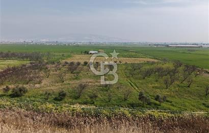 İzmir Çiğli Kaklıç'ta -24.400 m2 - Satılık Tarla