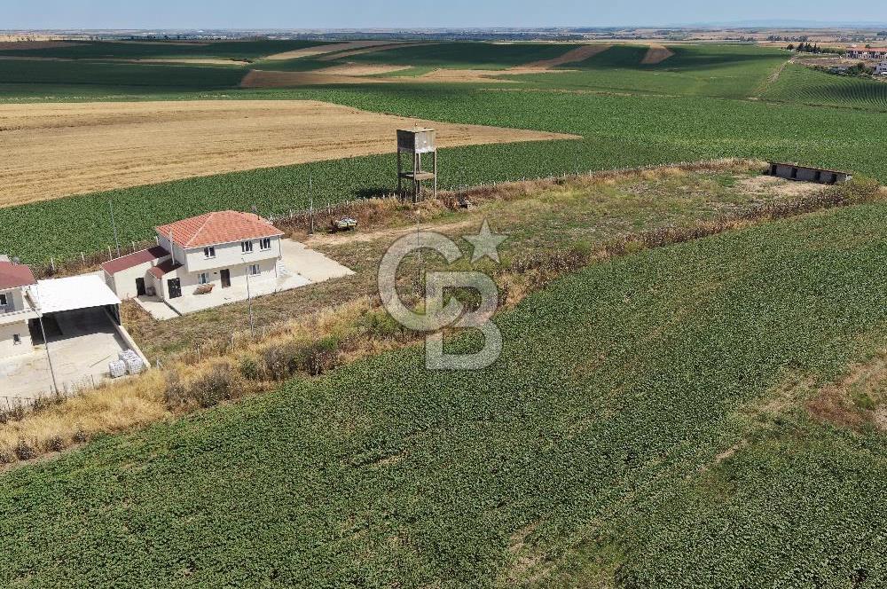 Lüleburgaz Sarıcaali Köyü Kiralık 9.600 M2 Çiftlik