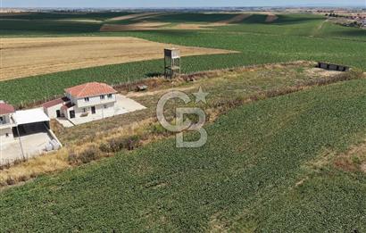 Lüleburgaz Sarıcaali Köyü Kiralık 9.600 M2 Çiftlik