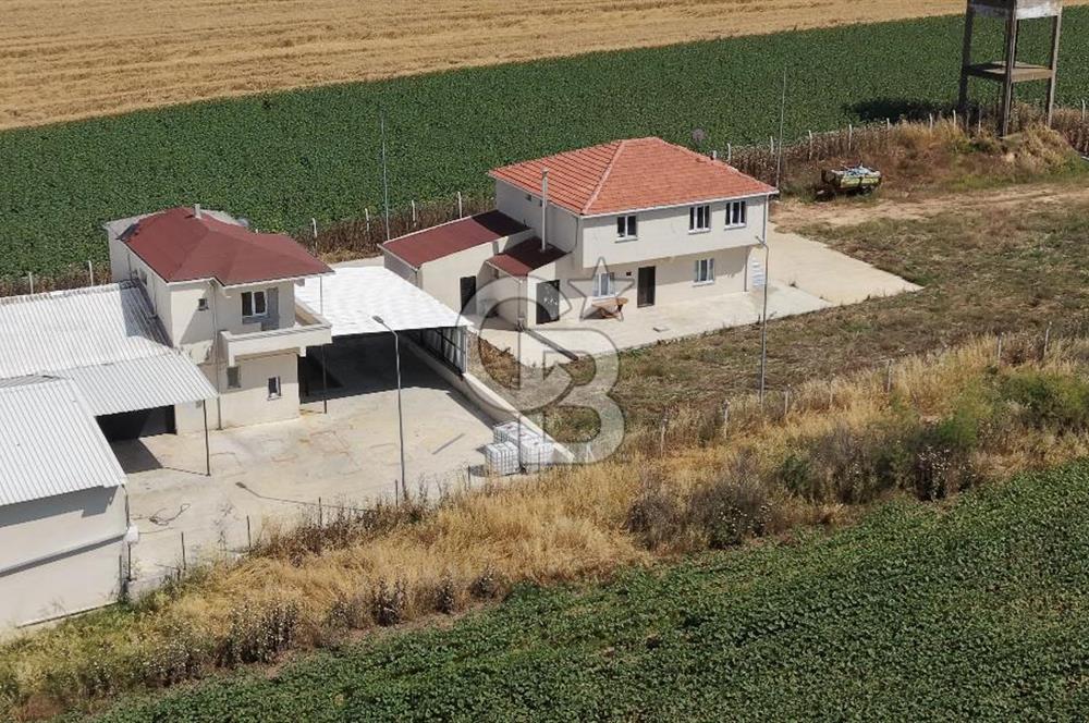 Lüleburgaz Sarıcaali Köyü Kiralık 9.600 M2 Çiftlik