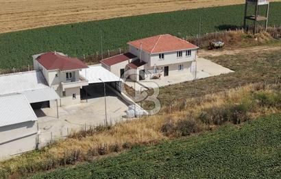 Lüleburgaz Sarıcaali Köyü Kiralık 9.600 M2 Çiftlik