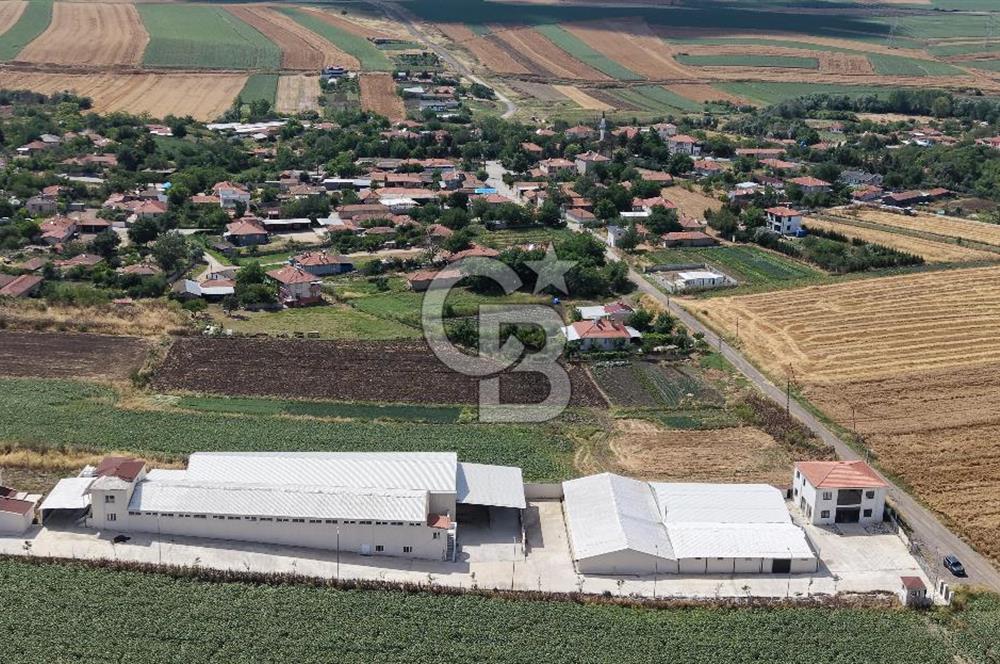 Lüleburgaz Sarıcaali Köyü Kiralık 9.600 M2 Çiftlik