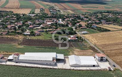 Lüleburgaz Sarıcaali Köyü Kiralık 9.600 M2 Çiftlik