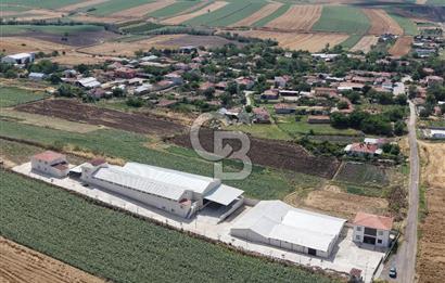 Lüleburgaz Sarıcaali Köyü Kiralık 9.600 M2 Çiftlik